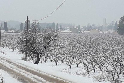 Nevada a Lleida del 9 de gener de 2021