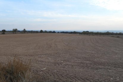 La boira, les fulles que cauen, els seus fruits... la tardor és una estació molt fotogènica.