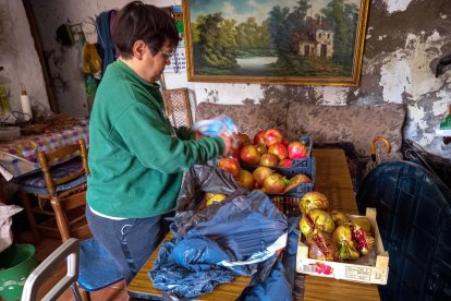 La boira, les fulles que cauen, els seus fruits... la tardor és una estació molt fotogènica.