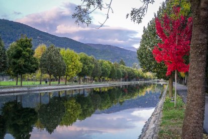 La boira, les fulles que cauen, els seus fruits... la tardor és una estació molt fotogènica.