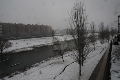 Nevada a Lleida del 9 de gener de 2021