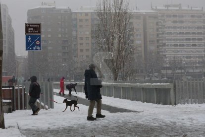 Nevada a Lleida del 9 de gener de 2021