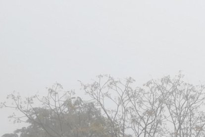 La boira, les fulles que cauen, els seus fruits... la tardor és una estació molt fotogènica.