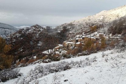 La boira, les fulles que cauen, els seus fruits... la tardor és una estació molt fotogènica.
