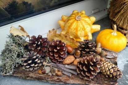 La boira, les fulles que cauen, els seus fruits... la tardor és una estació molt fotogènica.