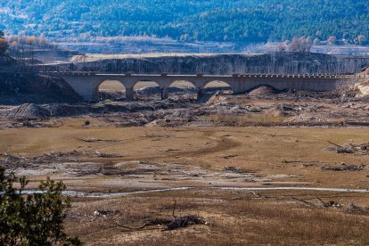 La boira, les fulles que cauen, els seus fruits... la tardor és una estació molt fotogènica.
