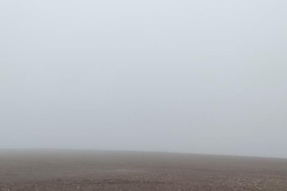 La boira, les fulles que cauen, els seus fruits... la tardor és una estació molt fotogènica.