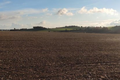La boira, les fulles que cauen, els seus fruits... la tardor és una estació molt fotogènica.