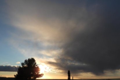La boira, les fulles que cauen, els seus fruits... la tardor és una estació molt fotogènica.