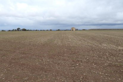 La boira, les fulles que cauen, els seus fruits... la tardor és una estació molt fotogènica.