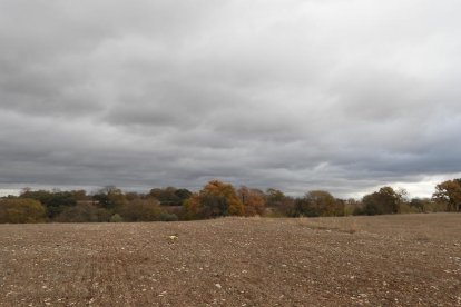 La boira, les fulles que cauen, els seus fruits... la tardor és una estació molt fotogènica.