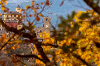 La boira, les fulles que cauen, els seus fruits... la tardor és una estació molt fotogènica.