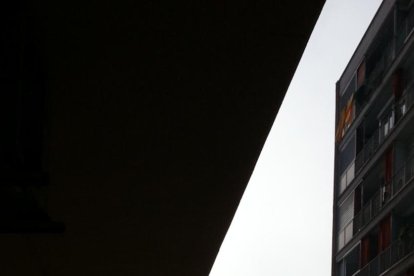 La boira, les fulles que cauen, els seus fruits... la tardor és una estació molt fotogènica.