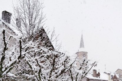 La boira, les fulles que cauen, els seus fruits... la tardor és una estació molt fotogènica.