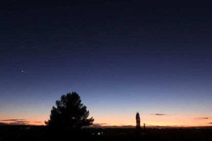 La boira, les fulles que cauen, els seus fruits... la tardor és una estació molt fotogènica.