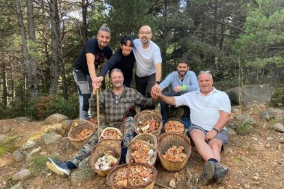 Ceps, rovellons, fredolics...envia'ns fotos de la teua excursió al bosc