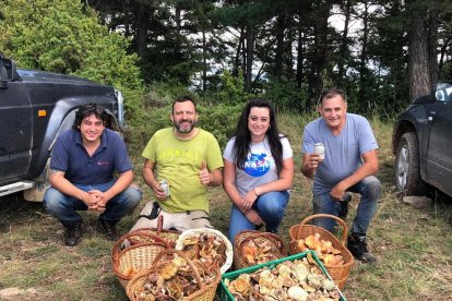 Ceps, rovellons, fredolics...envia'ns fotos de la teua excursió al bosc