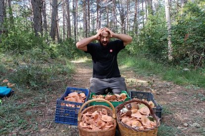 Ceps, rovellons, fredolics...envia'ns fotos de la teua excursió al bosc