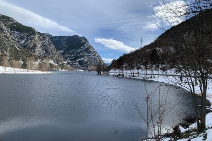 La boira, les fulles que cauen, els seus fruits... la tardor és una estació molt fotogènica.
