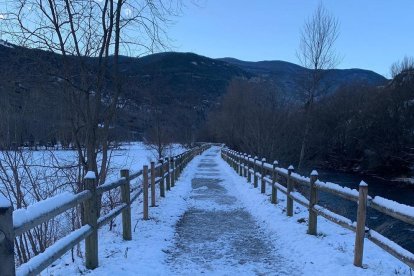 La boira, les fulles que cauen, els seus fruits... la tardor és una estació molt fotogènica.