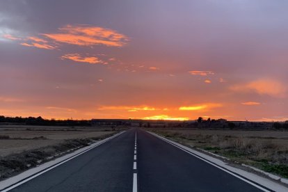 La boira, les fulles que cauen, els seus fruits... la tardor és una estació molt fotogènica.
