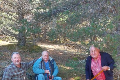 Ceps, rovellons, fredolics...envia'ns fotos de la teua excursió al bosc