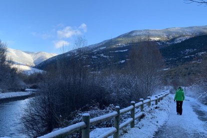 La boira, les fulles que cauen, els seus fruits... la tardor és una estació molt fotogènica.