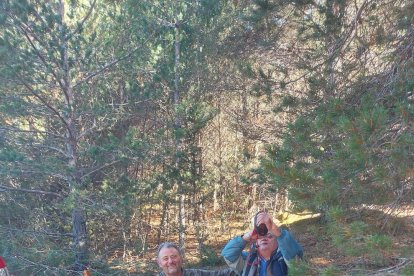 Ceps, rovellons, fredolics...envia'ns fotos de la teua excursió al bosc