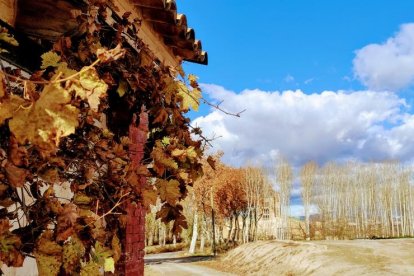 Celestí Capell Arqués