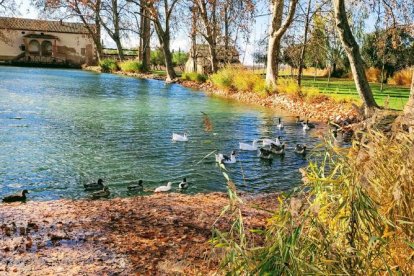 Celestí Capell Arqués