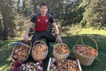 Ceps, rovellons, fredolics...envia'ns fotos de la teua excursió al bosc