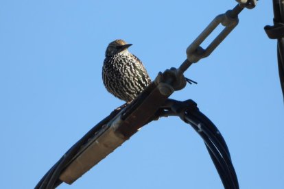 La boira, les fulles que cauen, els seus fruits... la tardor és una estació molt fotogènica.
