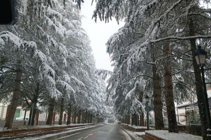 La boira, les fulles que cauen, els seus fruits... la tardor és una estació molt fotogènica.