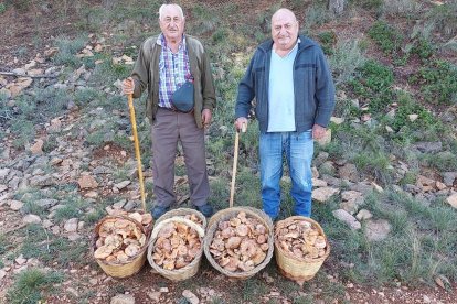 La boira, les fulles que cauen, els seus fruits... la tardor és una estació molt fotogènica.