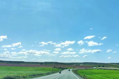 Aloma Casol Sanmarti