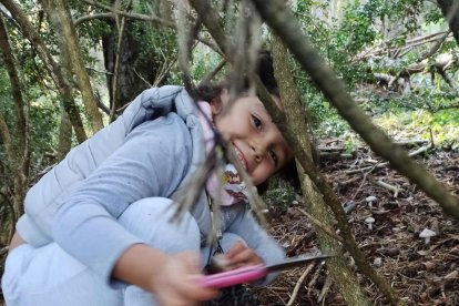 Ceps, rovellons, fredolics...envia'ns fotos de la teua excursió al bosc