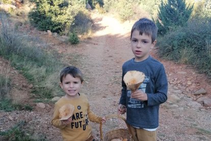 Ceps, rovellons, fredolics...envia'ns fotos de la teua excursió al bosc