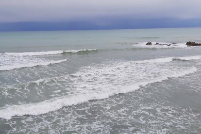 Arbres florits, camps verds i bon temps...ja és aquí la primavera!