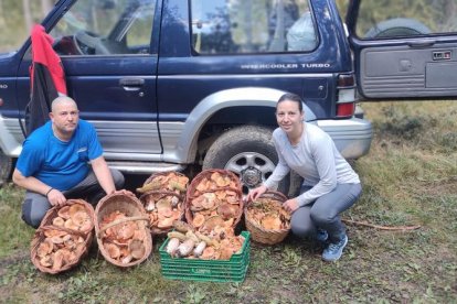 Ceps, rovellons, fredolics...envia'ns fotos de la teua excursió al bosc