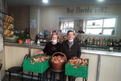 Ceps, rovellons, fredolics...envia'ns fotos de la teua excursió al bosc