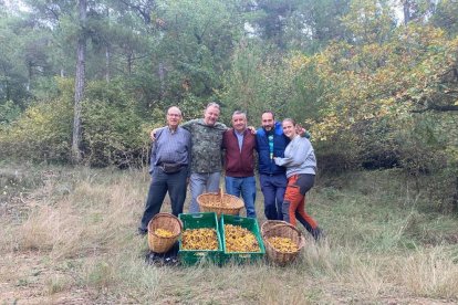 Ceps, rovellons, fredolics...envia'ns fotos de la teua excursió al bosc