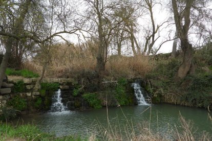 Arbres florits, camps verds i bon temps...ja és aquí la primavera!