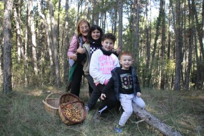 Ceps, rovellons, fredolics...envia'ns fotos de la teua excursió al bosc