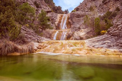Arbres florits, camps verds i bon temps...ja és aquí la primavera!