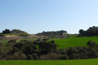 Arbres florits, camps verds i bon temps...ja és aquí la primavera!