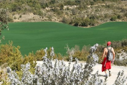 Montse Arqué i Bergadà