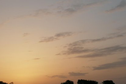 Elisabet Martin Pont