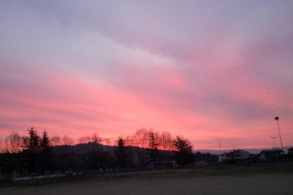 Arbres florits, camps verds i bon temps...ja és aquí la primavera!