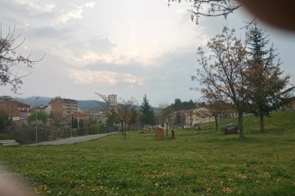 Arbres florits, camps verds i bon temps...ja és aquí la primavera!