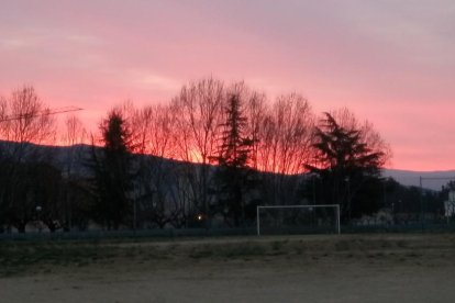 Arbres florits, camps verds i bon temps...ja és aquí la primavera!